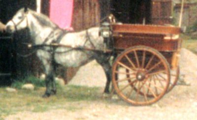 Mr George Findlay's Governess Cart