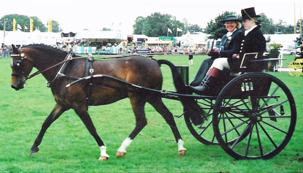 Copyright © 2004 V.Hindle